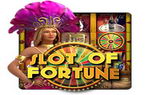 Slot of Fortune